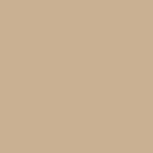 Kunststoff QDV beige BG