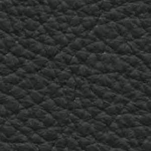 Leder LE schwarz LE120